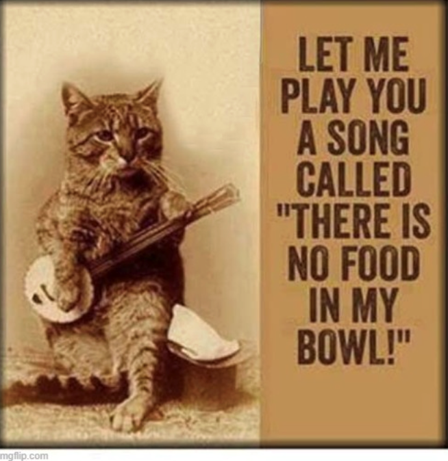 mgflip.com LET ME PLAY YOU A SONG CALLED "THERE IS NO FOOD IN MY BOWL!"