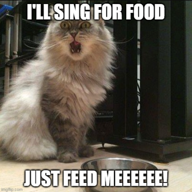 imgflip.com I'LL SING FOR FOOD JUST FEED MEEEEEE!