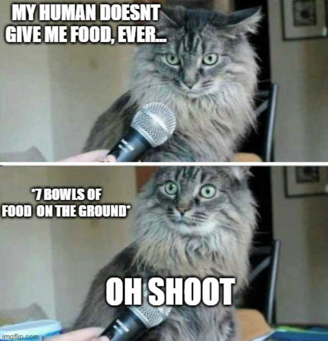 MY HUMAN DOESNT GIVE ME FOOD, EVER... 7 BOWLS OF FOOD ON THE GROUND imgflip.com OH SHOOT