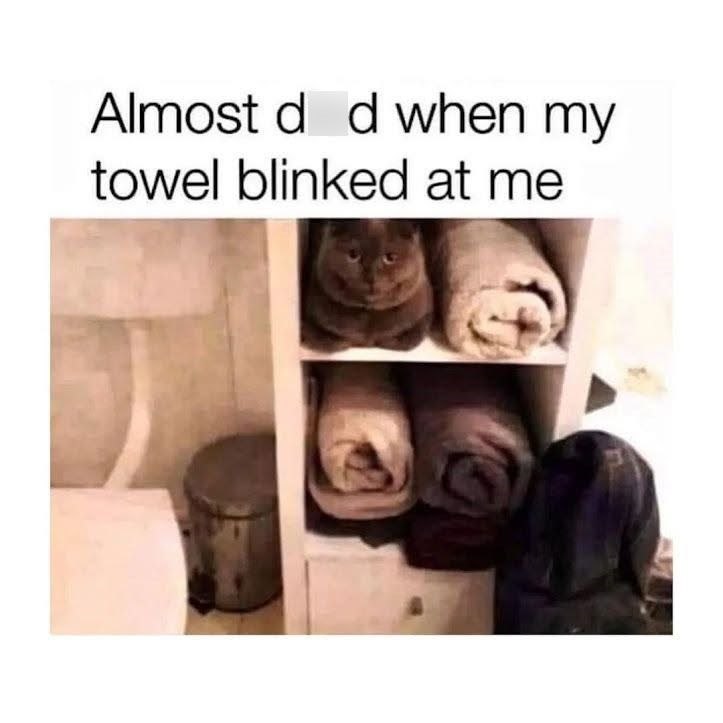 Almost d d when my towel blinked at me