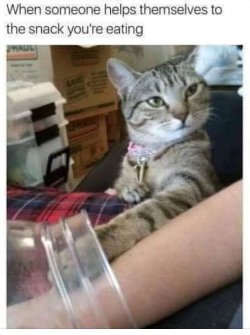When someone helps themselves to the snack you're eating HAUL SAVE