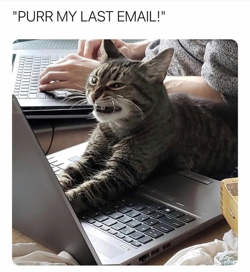 "PURR MY LAST EMAIL!" 9