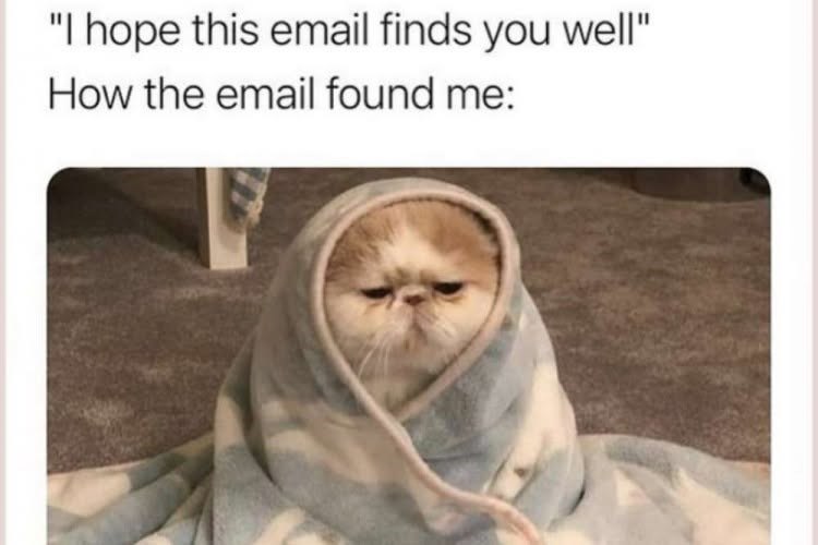 "I hope this email finds you well" How the email found me: