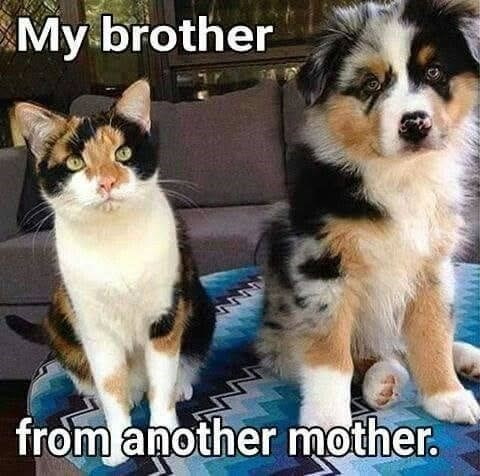 My brother from another mother.