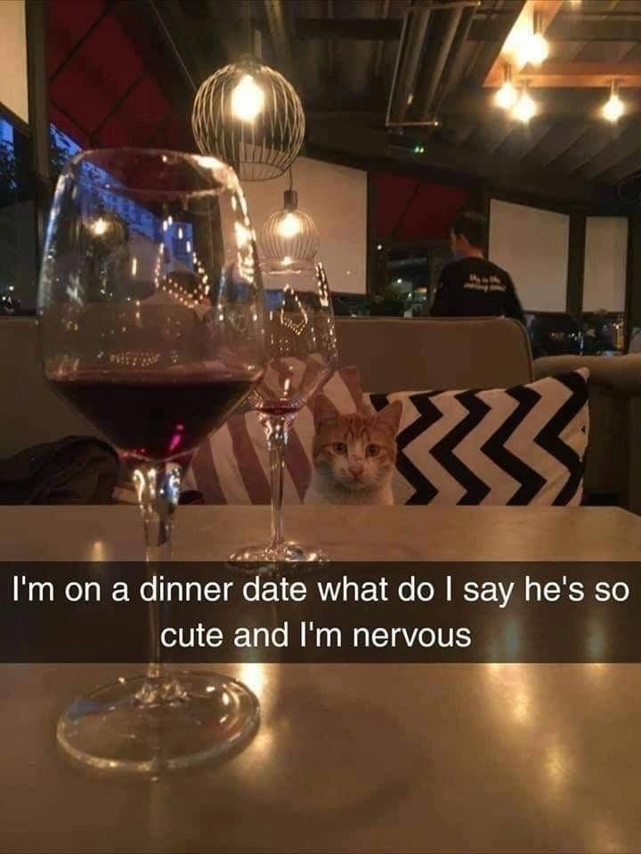 I'm on a dinner date what do I say he's so cute and I'm nervous