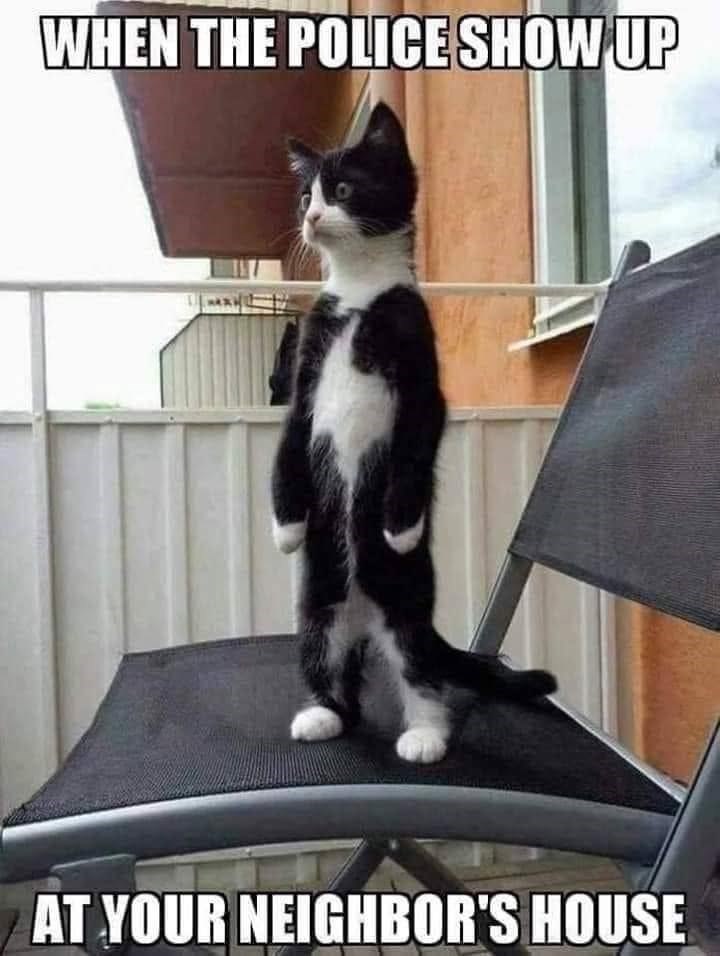 WHEN THE POLICE SHOW UP AT YOUR NEIGHBOR'S HOUSE