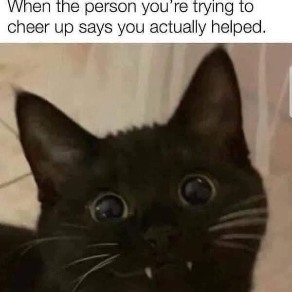 When the person you're trying to cheer up says you actually helped.