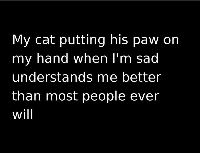 My cat putting his paw on my hand when I'm sad understands me better than most people ever will