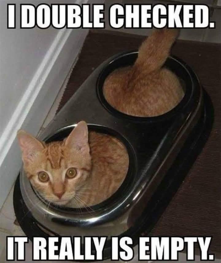 I DOUBLE CHECKED. IT REALLY IS EMPTY.