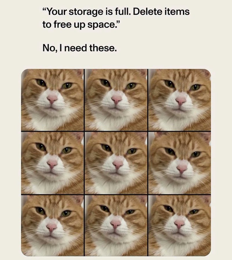 "Your storage is full. Delete items to free up space." No, I need these.