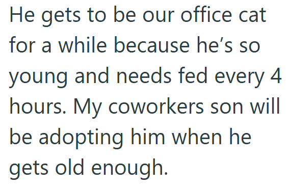 He gets to be our office cat for a while because he's so young and needs fed every 4 hours. My coworkers son will be adopting him when he gets old enough.