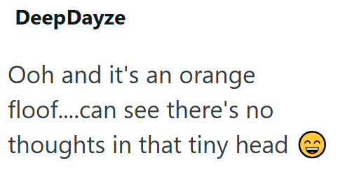 DeepDayze Ooh and it's an orange floof....can see there's no thoughts in that tiny head