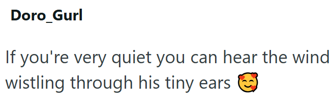 Doro_Gurl If you're very quiet you can hear the wind wistling through his tiny ears