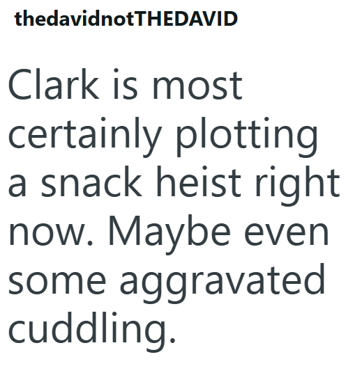 thedavidnotTHEDAVID Clark is most certainly plotting a snack heist right now. Maybe even some aggravated cuddling.