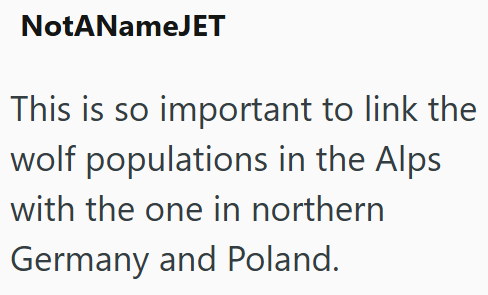 NotANameJET This is so important to link the wolf populations in the Alps with the one in northern Germany and Poland.