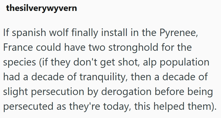 thesilverywyvern If spanish wolf finally install in the Pyrenee, France could have two stronghold for the species (if they don't get shot, alp population had a decade of tranquility, then a decade of slight persecution by derogation before being persecuted as they're today, this helped them).