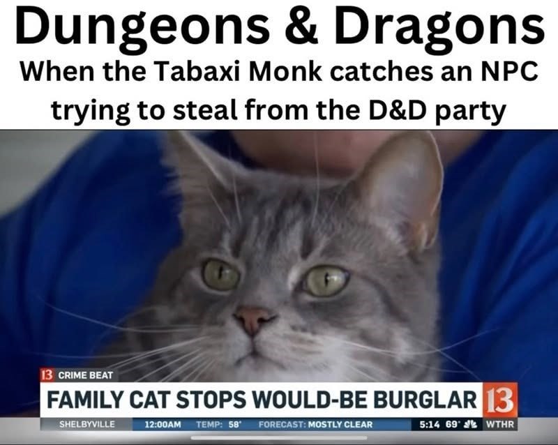 Dungeons & Dragons When the Tabaxi Monk catches an NPC trying to steal from the D&D party 13 CRIME BEAT FAMILY CAT STOPS WOULD-BE BURGLAR 13 SHELBYVILLE 12:00AM TEMP: 58° FORECAST: MOSTLY CLEAR 5:14 69WTHR
