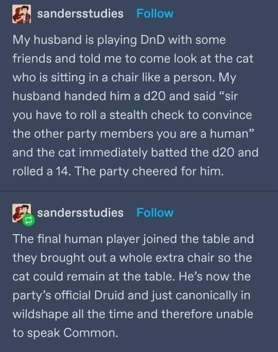 sandersstudies Follow My husband is playing DnD with some friends and told me to come look at the cat who is sitting in a chair like a person. My husband handed him a d20 and said "sir you have to roll a stealth check to convince the other party members you are a human" and the cat immediately batted the d20 and rolled a 14. The party cheered for him. sandersstudies Follow The final human player joined the table and they brought out a whole extra chair so the cat could remain at the table. He's