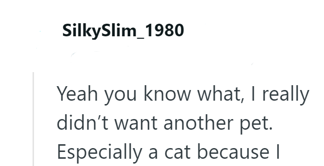 SilkySlim_1980 Yeah you know what, I really didn't want another pet. Especially a cat because I