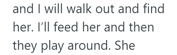 and I will walk out and find her. I'll feed her and then. they play around. She
