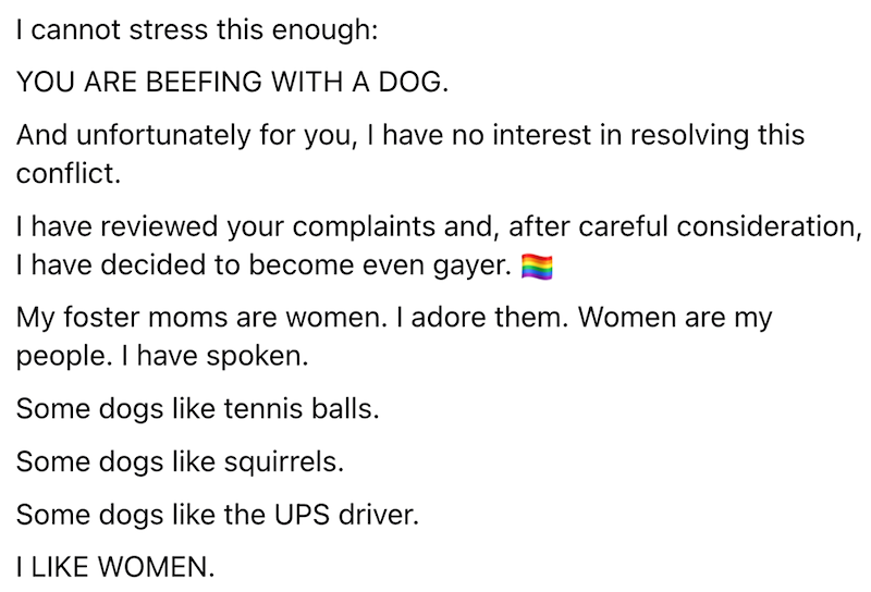 I cannot stress this enough: YOU ARE BEEFING WITH A DOG. And unfortunately for you, I have no interest in resolving this conflict. I have reviewed your complaints and, after careful consideration, I have decided to become even gayer. My foster moms are women. I adore them. Women are my people. I have spoken. Some dogs like tennis balls. Some dogs like squirrels. Some dogs like the UPS driver. I LIKE WOMEN.