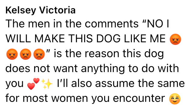 Kelsey Victoria The men in the comments "NO I WILL MAKE THIS DOG LIKE ME " is the reason this dog does not want anything to do with I'll also assume the same you for most women you encounter