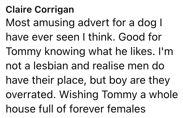 Claire Corrigan Most amusing advert for a dog I have ever seen I think. Good for Tommy knowing what he likes. I'm not a lesbian and realise men do have their place, but boy are they overrated. Wishing Tommy a whole house full of forever females