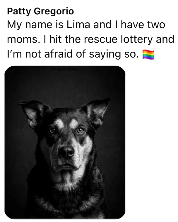 Patty Gregorio My name is Lima and I have two moms. I hit the rescue lottery and I'm not afraid of saying so.