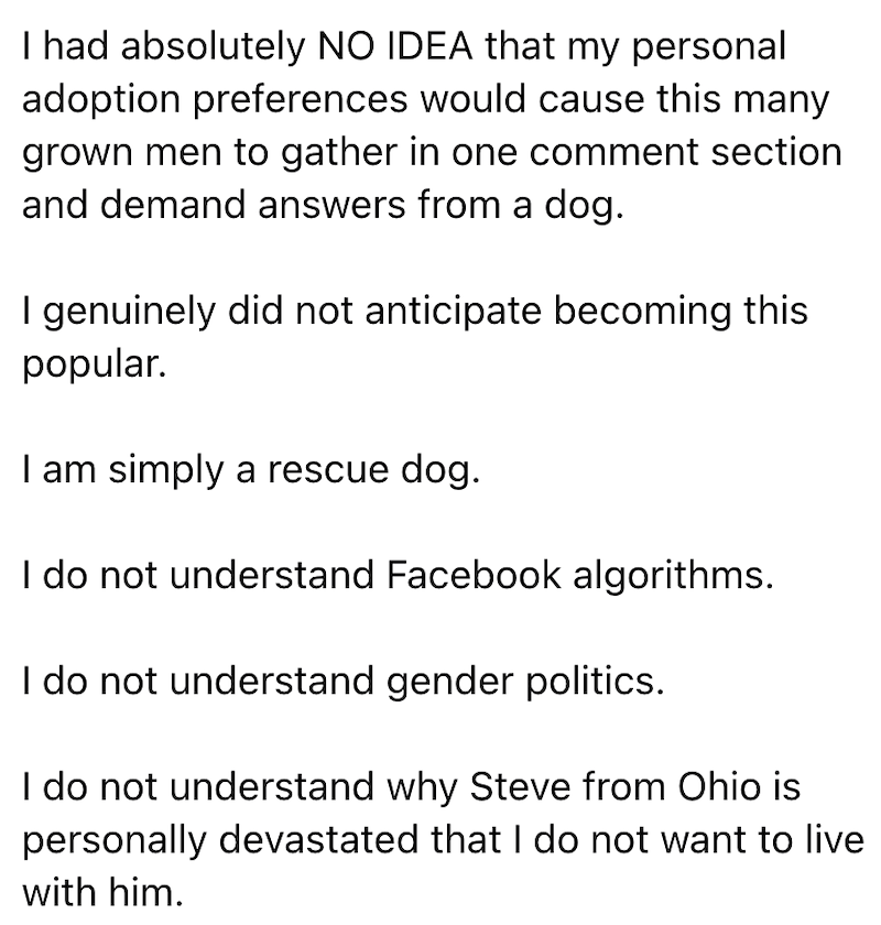 I had absolutely NO IDEA that my personal adoption preferences would cause this many grown men to gather in one comment section and demand answers from a dog. I genuinely did not anticipate becoming this popular. I am simply a rescue dog. I do not understand Facebook algorithms. I do not understand gender politics. I do not understand why Steve from Ohio is personally devastated that I do not want to live with him.