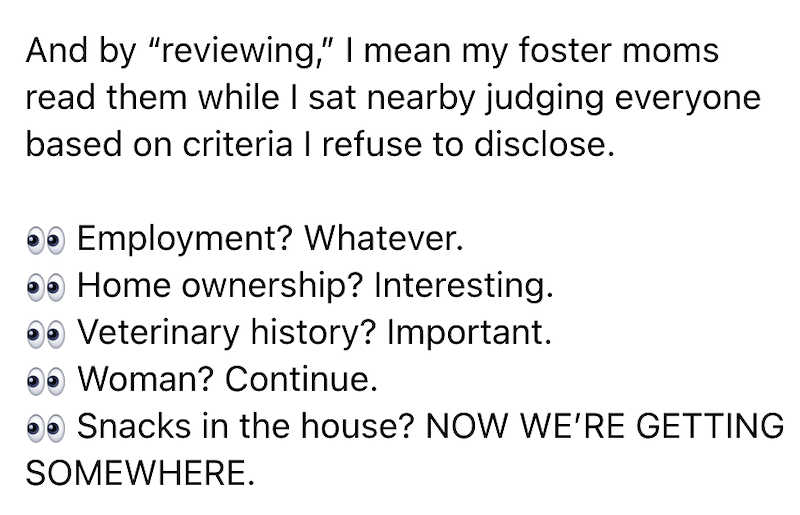 And by "reviewing," I mean my foster moms read them while I sat nearby judging everyone based on criteria I refuse to disclose. ● Employment? Whatever. Home ownership? Interesting. Veterinary history? Important. Woman? Continue. ●● Snacks in the house? NOW WE'RE GETTING SOMEWHERE.