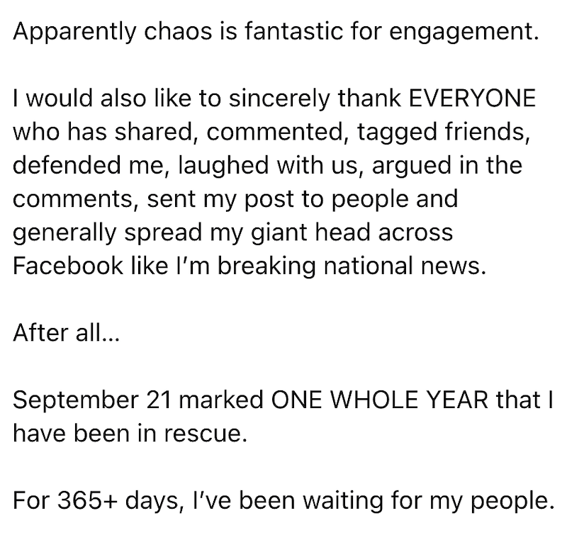 Apparently chaos is fantastic for engagement. I would also like to sincerely thank EVERYONE who has shared, commented, tagged friends, defended me, laughed with us, argued in the comments, sent my post to people and generally spread my giant head across Facebook like I'm breaking national news. After all... September 21 marked ONE WHOLE YEAR that I have been in rescue. For 365+ days, I've been waiting for my people.