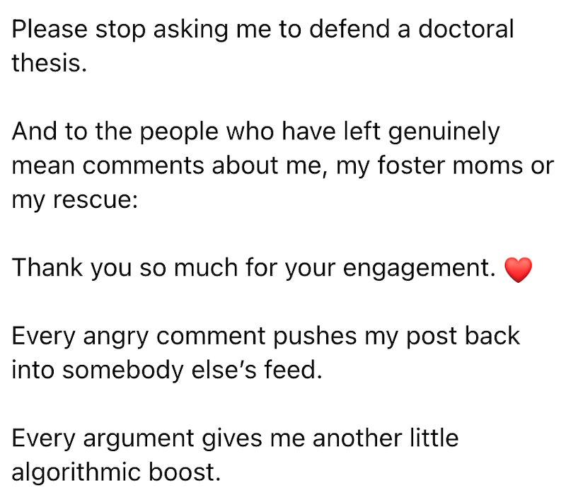 Please stop asking me to defend a doctoral thesis. And to the people who have left genuinely mean comments about me, my foster moms or my rescue: Thank you so much for your engagement. Every angry comment pushes my post back into somebody else's feed. Every argument gives me another little algorithmic boost.