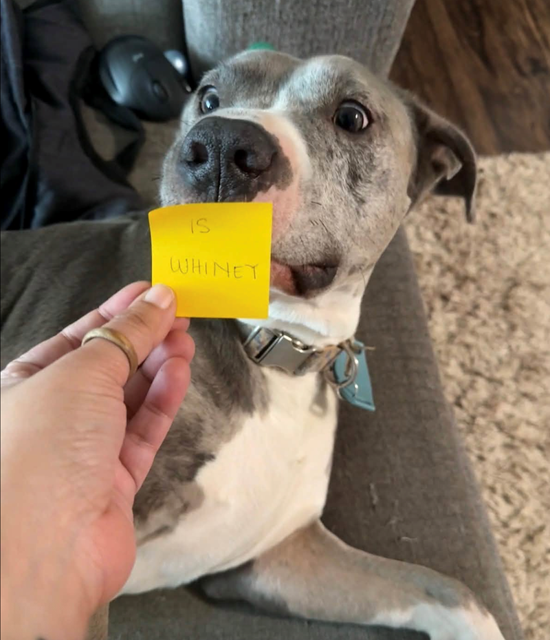 IS WHINET