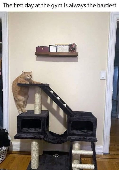 The first day at the gym is always the hardest