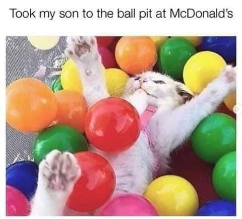 Took my son to the ball pit at McDonald's