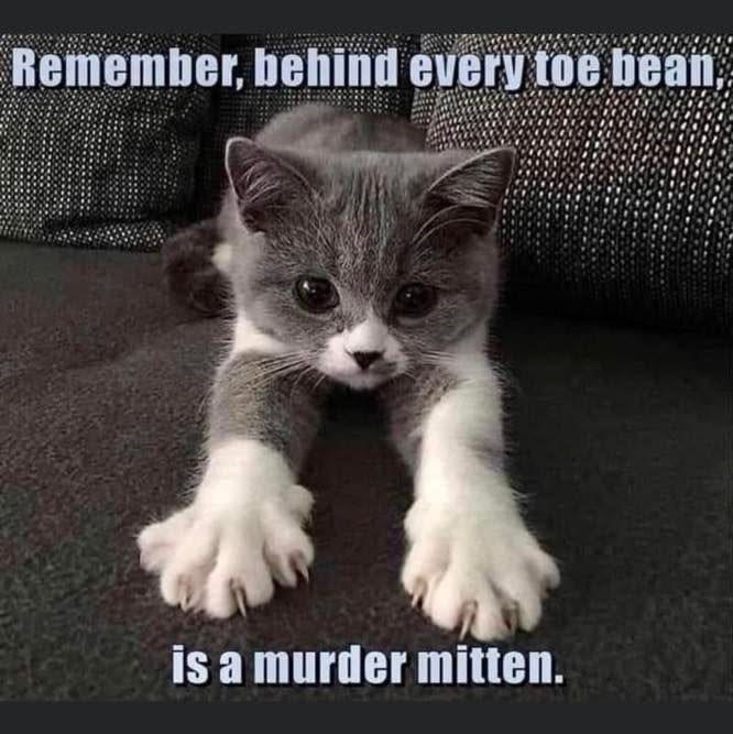 Remember, behind every toe bean, is a murder mitten.