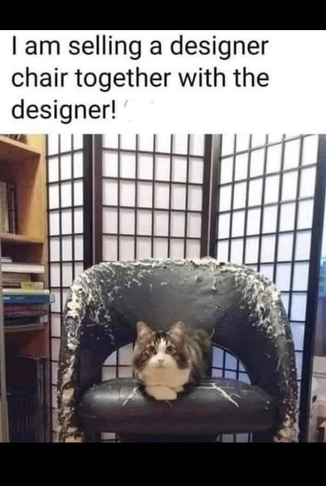 I am selling a designer chair together with the designer!