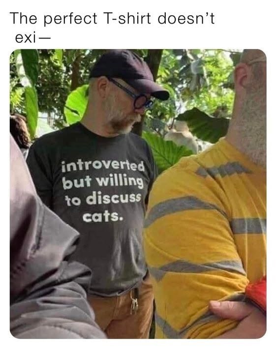 The perfect T-shirt doesn't exi- introverted but willing to discuss cats.