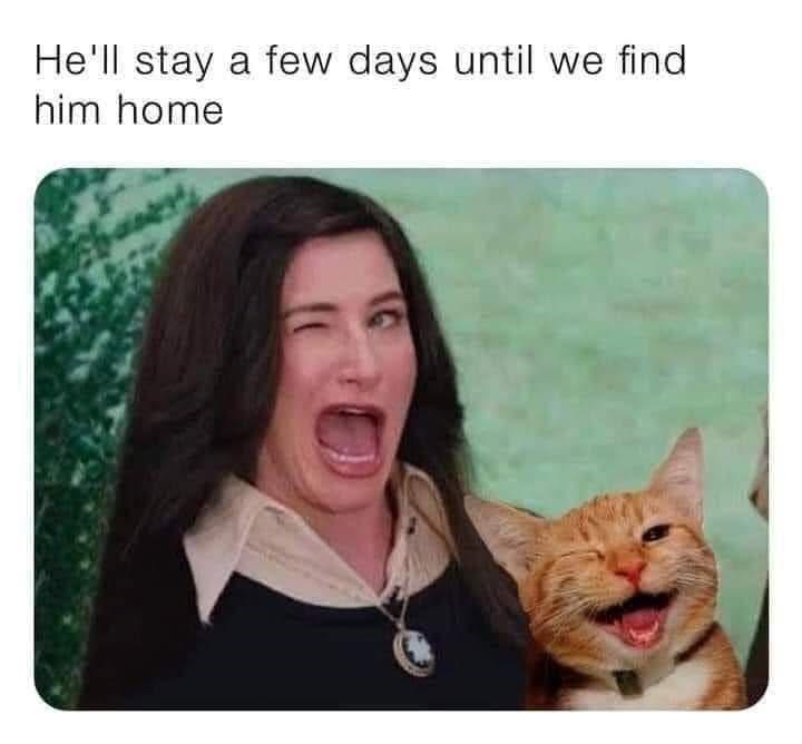 He'll stay a few days until we find him home 16