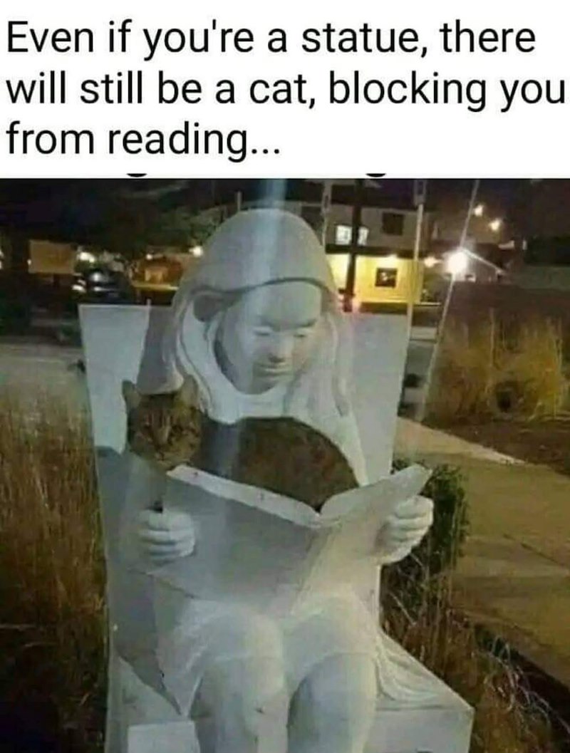 Even if you're a statue, there will still be a cat, blocking you from reading...