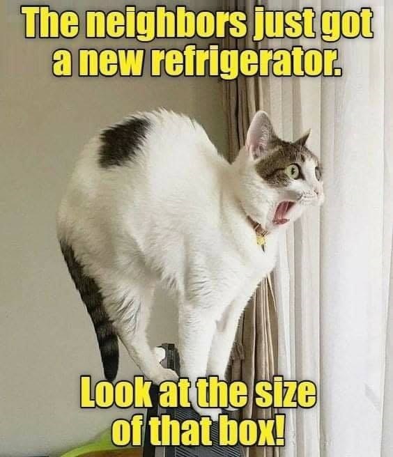 The neighbors just got a new refrigerator. Look at the size of that box!