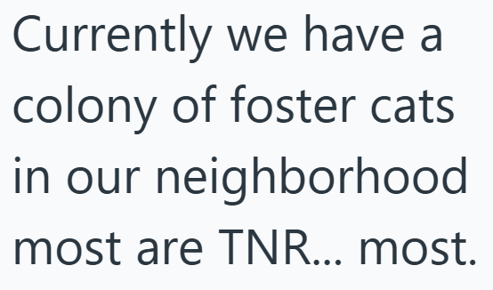 Currently we have colony of foster cats in our neighborhood most are TNR... most.
