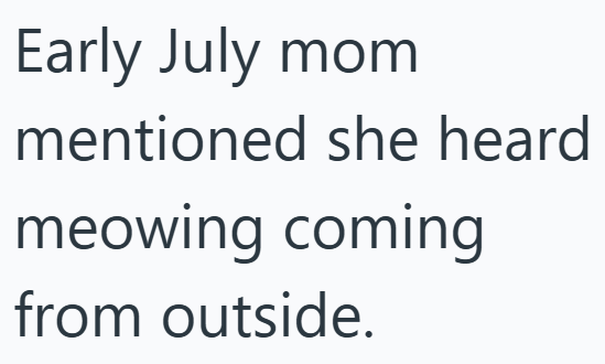 Early July mom mentioned she heard meowing coming from outside.