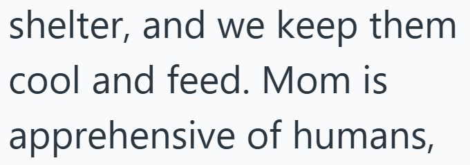 shelter, and we keep them cool and feed. Mom is apprehensive of humans,