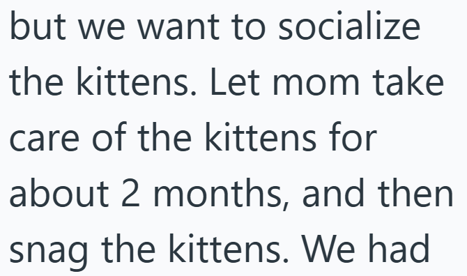 but we want to socialize the kittens. Let mom take care of the kittens for about 2 months, and then snag the kittens. We had