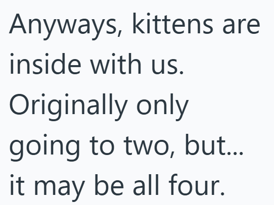 Anyways, kittens are inside with us. Originally only going to two, but... it may be all four.