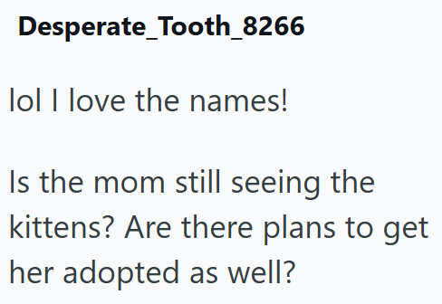 Desperate_Tooth_8266 lol I love the names! Is the mom still seeing the kittens? Are there plans to get her adopted as well?