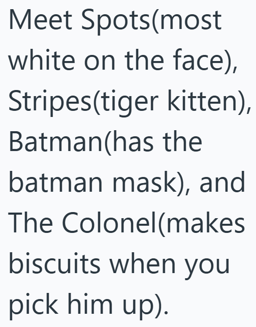 Meet Spots(most white on the face), Stripes(tiger kitten), Batman(has the batman mask), and The Colonel(makes biscuits when you pick him up).
