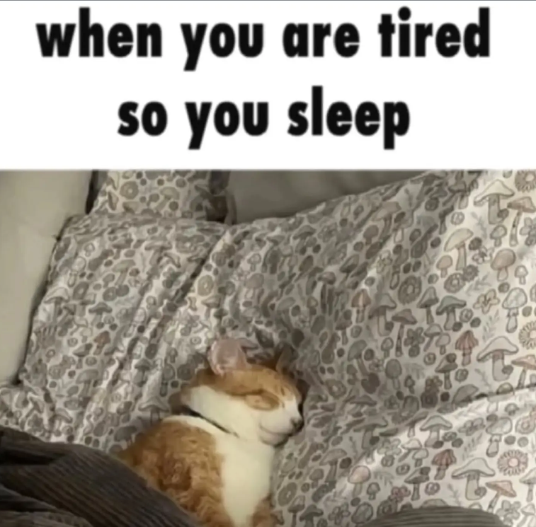 when you are tired so you sleep