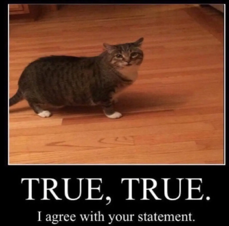 TRUE, TRUE. I agree with your statement.
